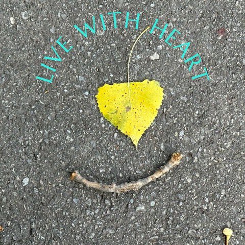 IgniteHappy's tweet photo. Connecting with heart is your beat to sustaining happiness.
#heart #happiness #livewithheart #love #connection #ignitehappy #liveyourpossible #findyourwg •) https://t.co/D1ikfUfTha