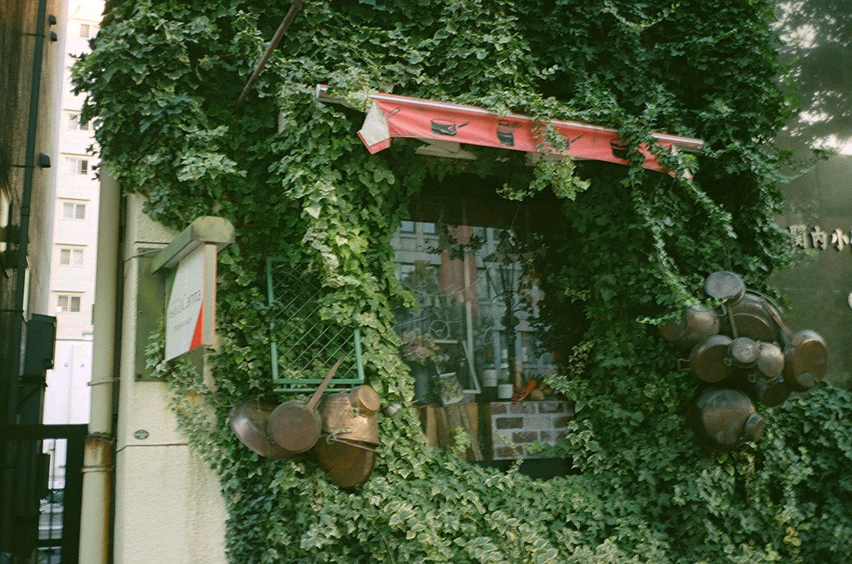 inao_toshiaki's tweet photo. WAIKIKI PHOTOGRAPH
with ivy , bashamichi yokohama japan
#yokohama
#横浜
#japan
#symbolic
#bashamichi
#ある日の馬車道
#馬車道
#streetphotography
#withivy
#photography
#filmphotography
#leica
#leicacamera
#leicaphoto
#leicam3
#ライカm3
#waikiki_inc_photograph https://t.co/kHSZhTrtAm