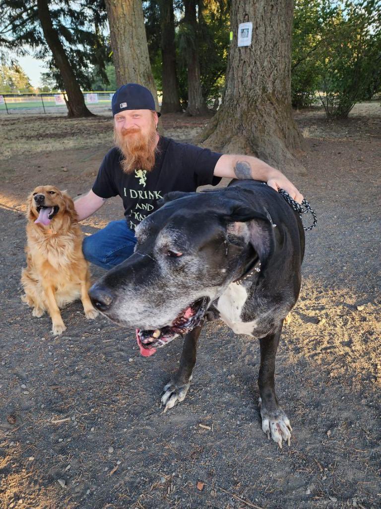 Today is a sad day.  Today we lost Diesel. The goodest of boys and my best friend.  I love you Diesel.  You are already missed.