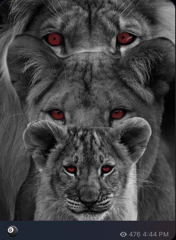 Shanneighteen's tweet image. #alienalienalien
#thechosen=97=
#popcorn 
12.21=33=11.4
#fortyeight #fourfourfour 
#Midnight 

#scaredlover=122=212=Dec. 20=#PAIN 
#nomorewar
#numberofaman
#twinflames
#BillClinton