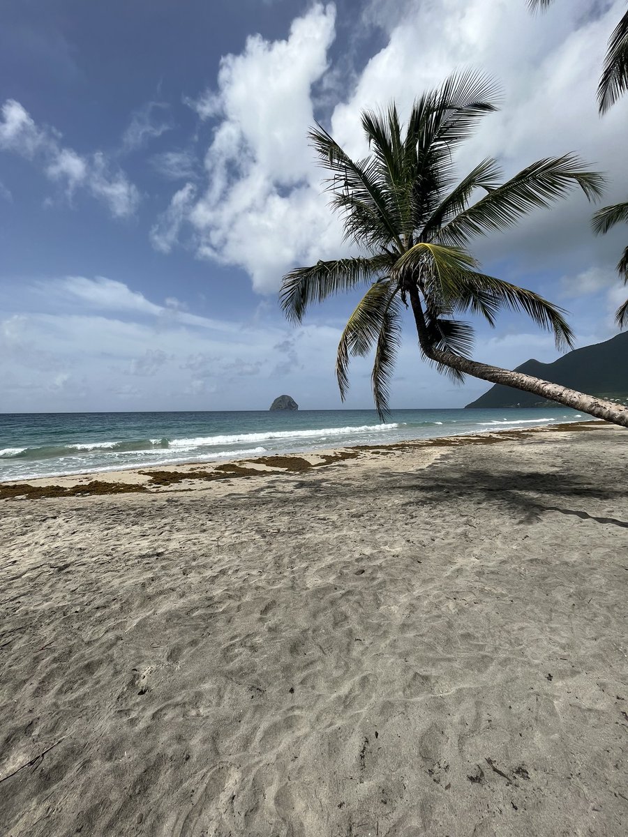 elxhgn's tweet photo. ramenez moi en Martinique svp 😩 https://t.co/sNy0hHdmZA