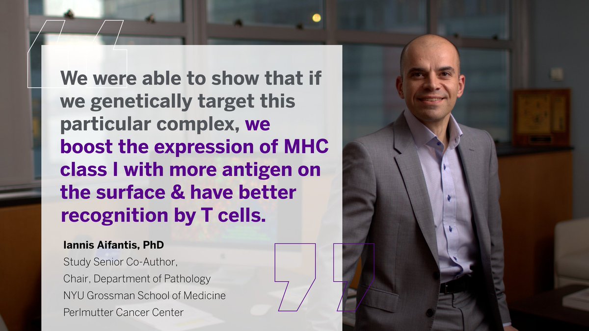 Perlmutter Cancer Center at NYU Langone Health (@perlmutter_cc) on Twitter photo In partnership with <a href="/TheMarkFdn/">The Mark Foundation for Cancer Research</a>, our <a href="/NYUGSOM_Path/">NYU GSOM Pathology</a> investigators have identified a trimolecular complex that may yield new strategies to improve checkpoint inhibitor efficacy in AML.
Learn more from co-authors <a href="/iannisaifantis1/">Iannis Aifantis</a>, <a href="/jwang133/">Jun Wang</a> & @Xufeng_Chen: bit.ly/3NxrbAI In partnership with <a href="/TheMarkFdn/">The Mark Foundation for Cancer Research</a>, our <a href="/NYUGSOM_Path/">NYU GSOM Pathology</a> investigators have identified a trimolecular complex that may yield new strategies to improve checkpoint inhibitor efficacy in AML.
Learn more from co-authors <a href="/iannisaifantis1/">Iannis Aifantis</a>, <a href="/jwang133/">Jun Wang</a> & @Xufeng_Chen: bit.ly/3NxrbAI