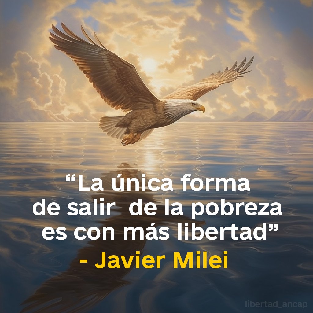 Tv Pública Libertaria tweet media