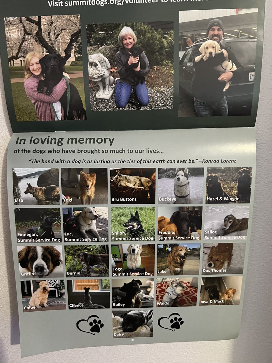 JoshHasDogs's tweet image. Bittersweet day as I change out the 2023 #DogsOfMicrosoft Calendar for the 2024. Will be saving this one. Elsa’s been gone 2 years now and I still catch myself thinking she’s going to come trotting down the hall with her big smile. #pnwgsdpack #GermanShepherd