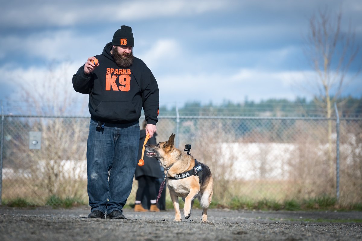 JoshHasDogs's tweet image. Bittersweet day as I change out the 2023 #DogsOfMicrosoft Calendar for the 2024. Will be saving this one. Elsa’s been gone 2 years now and I still catch myself thinking she’s going to come trotting down the hall with her big smile. #pnwgsdpack #GermanShepherd
