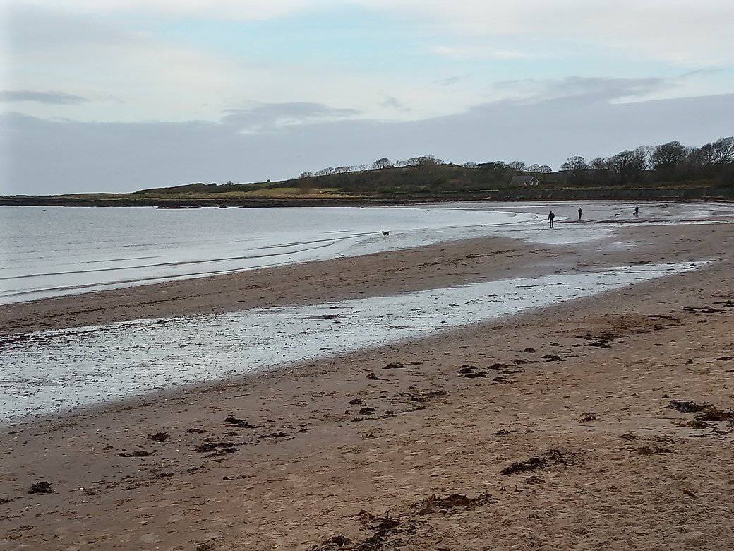 KarenDouglas_NI's tweet photo. First #2minutebeachclean of 2024 at one of my #adoptaspots #LiveHereLoveHere Lifted the usual suspects of wrappers, plastic bottles, sanitary products etc #LoveWhereYouVisit #KeepOurBeautySpotsBeautiful #DontBeATosser #Litter #BinIt #TakeYourWasteHome #TowardsALitterFreeBangor https://t.co/MrUeAt0O5H