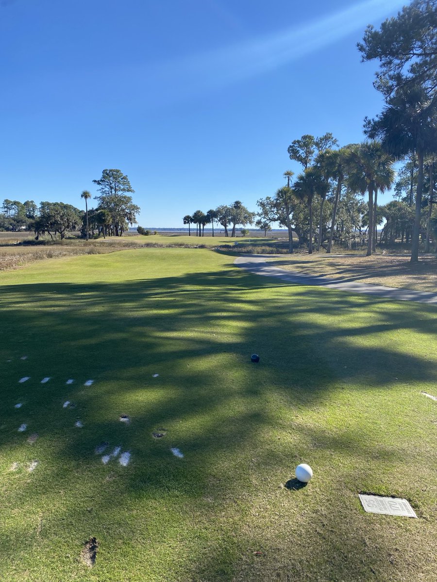 Mark  Noel tweet media