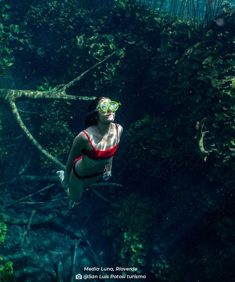 🌟 ¡Bienvenido 2024! 🌟 Este año se presenta como un lienzo en blanco lleno de nuevas aventuras por descubrir. 🚀✨ Y para empezar con el pie derecho, te invito a explorar las maravillas que el bello municipio de Rioverde tiene para ofrecer.

visitasanluispotosi.com