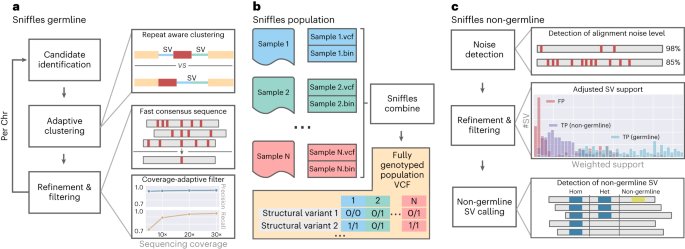 Proud to present #Sniffles V2, a fast and accurate SV caller for #LongReads that not only call germline SV, but also low-frequency/somatic variants. With long-time colleagues <a href="/sedlazeck/">Fritz Sedlazeck</a> <a href="/smolkmo/">Moritz Smolka</a> &amp; Collab <a href="/proukakis/">Christos Proukakis</a> <a href="/CMBCarvalho/">Claudia M Carvalho</a> <a href="/NatureBiotech/">Nature Biotechnology</a>  <a href="/BCM_HGSC/">BCM HGSC</a> go.nature.com/3RFnt9H