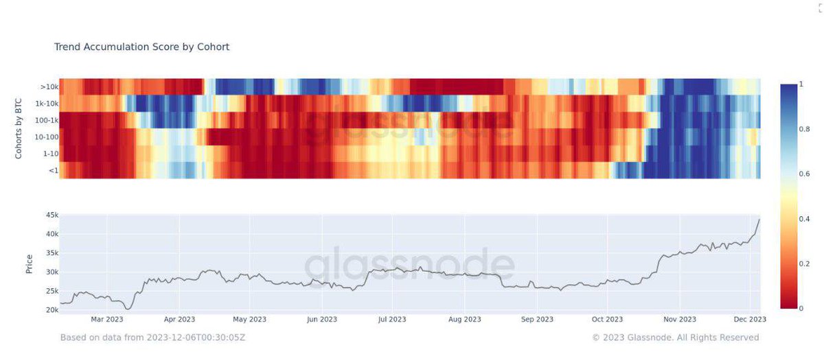 Segrust’s Trader tweet media