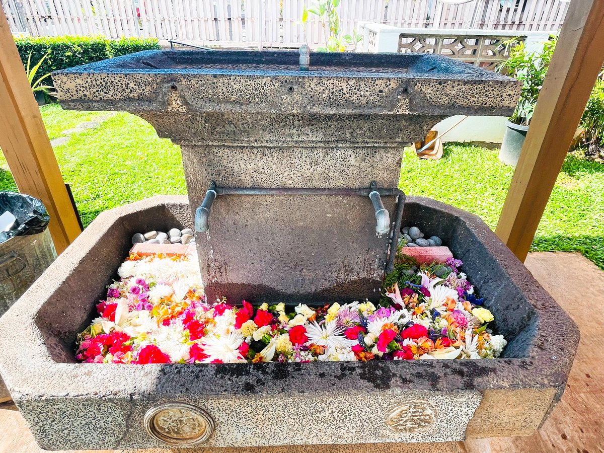 ken_nobuyoshi's tweet photo. ハワイ金刀比羅神社・太宰府天満宮に初詣に行ってきました⛩️
娘がこちらで七五三をしたのがもう6年前。時の流れが早い💦
「一日一日を大事にしよ」ーって思いました😊 https://t.co/omGei6S330