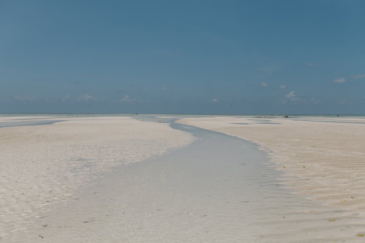 BusinessByron's tweet photo. Context: we were sitting on the beach [no walls, windows, or window frames] and asked a legal + #operations question. Our cheeky response below was to a concept we knew of, but hadn't heard cited before. Thanks @newtonlaw your answer was perfect! https://t.co/2wSfvNsNtI
