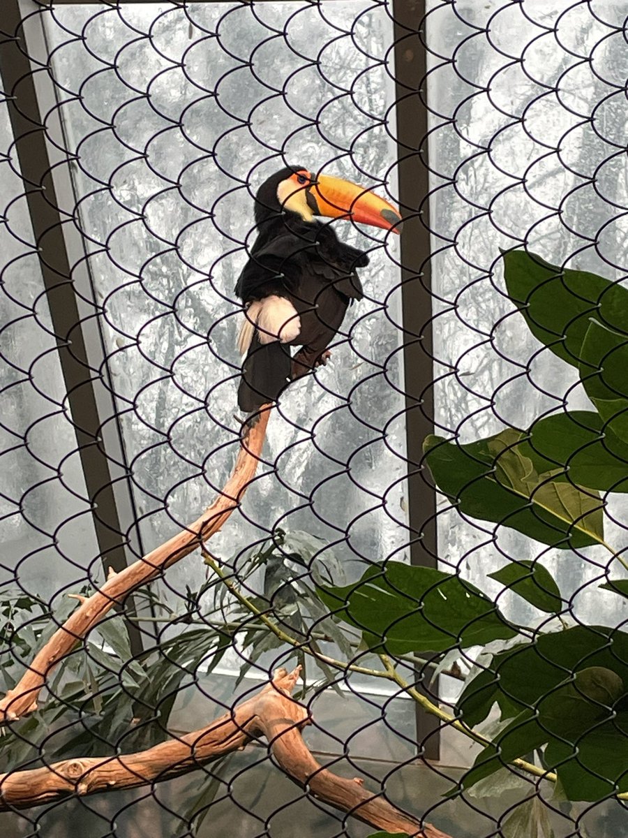 RayPropaganda's tweet image. Look what I saw today, dad! @RayNarvaezJr