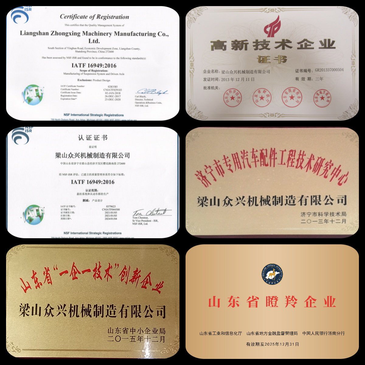 ellama77's tweet photo. Certificate of company.🎉🎉🎉 https://t.co/MI87qBInh3