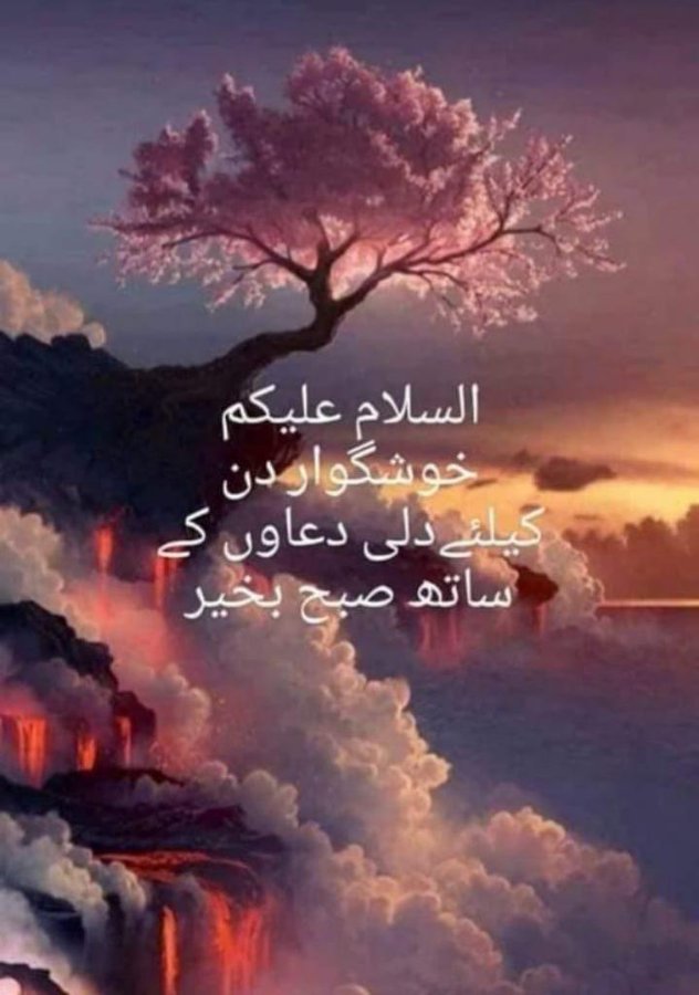 السلام علیکم و رحمۃ اللہ وبرکاتہ۔۔۔❤️
اللہ کریم آپ سب کو ھمیشہ اپنی حفظ و امان میں رکھیں❤️ آمین ثم آمین یارب العالمین❤️
#PetrolDieselPrice #ImranRiazKhan #waqarzaka #Islamabad