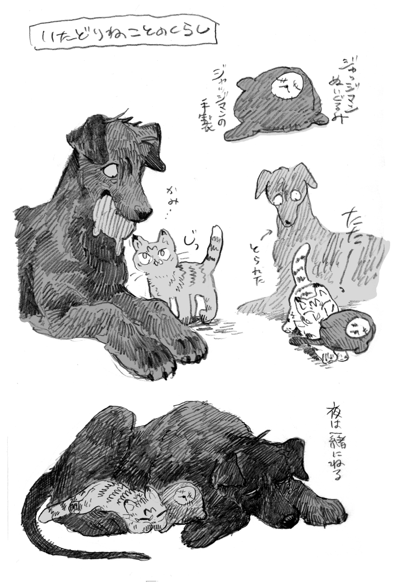 これはお気に入り🌻犬の再掲