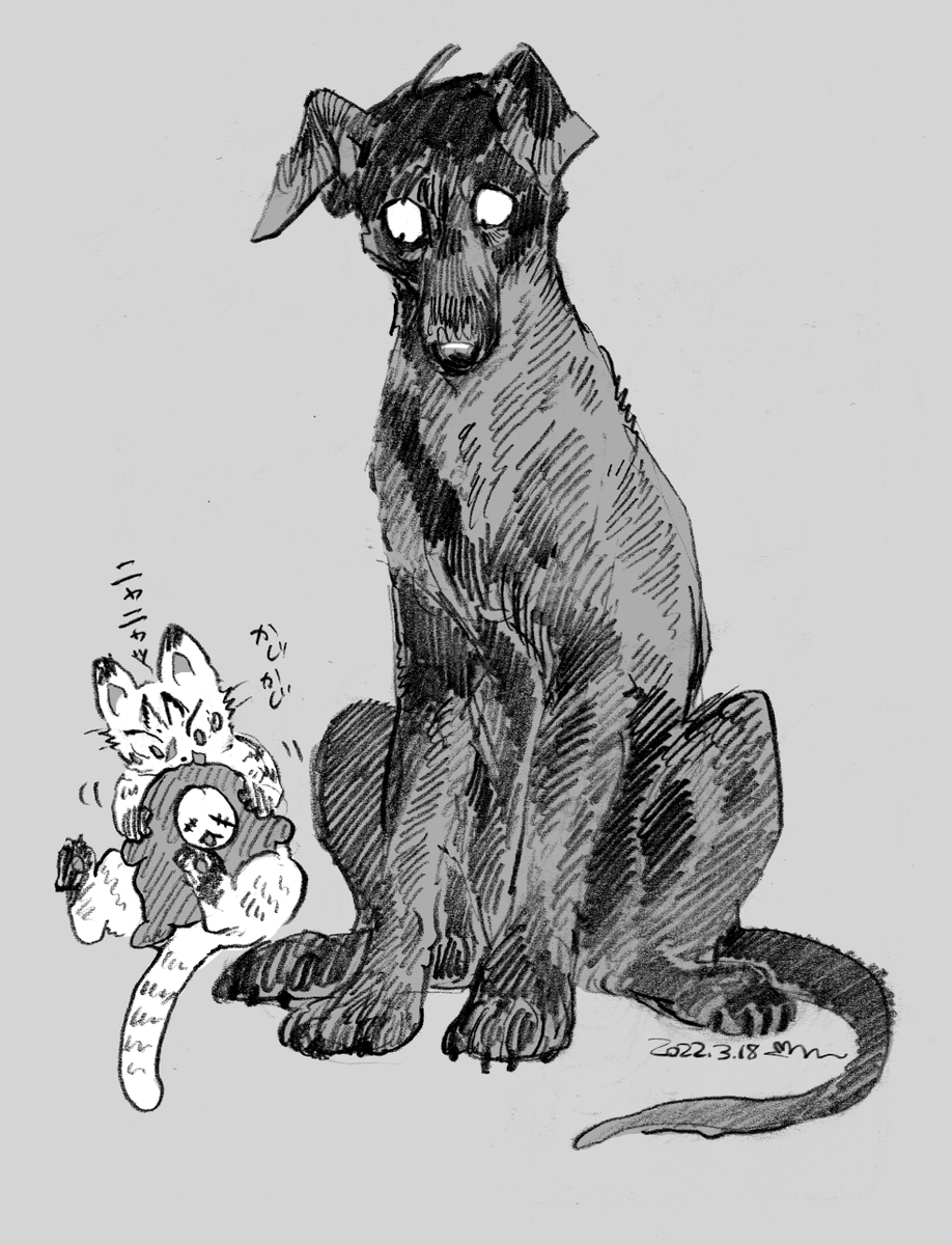 これはお気に入り🌻犬の再掲