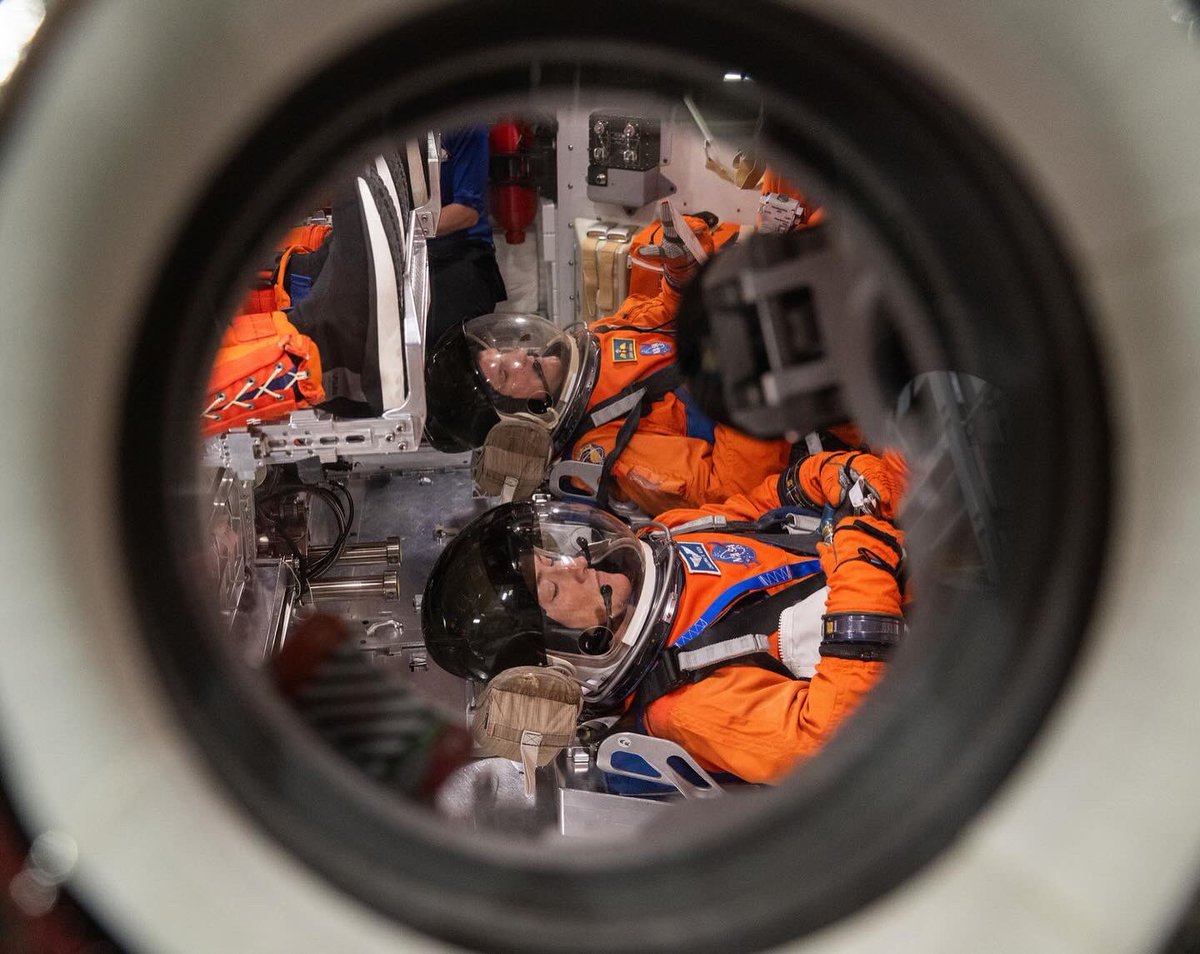 Christina H Koch tweet media