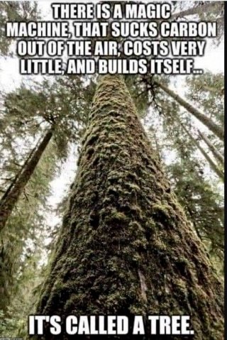 maggiek65's tweet photo. Your daily reminder. And it costs nothing.
#Climatescam #CO2
#Treeswork
#auspol https://t.co/OYSjzIS9Wi