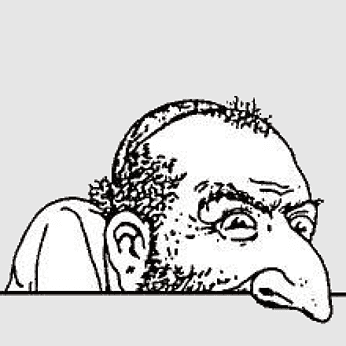 $SHEKEL tweet media