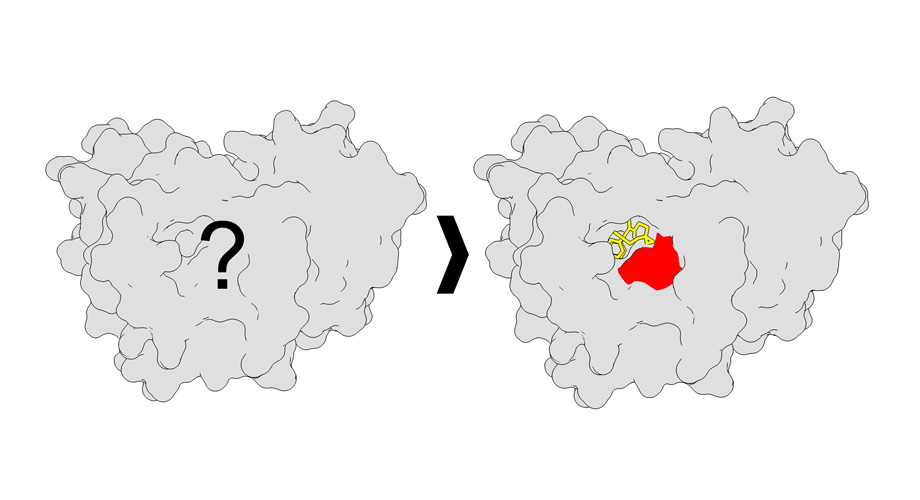 Scripps Research (@scrippsresearch) on Twitter photo A new <a href="/nchembio/">Nature Chemical Biology</a> study, led by <a href="/_chrisgparker_/">Chris Parker</a> alongside Jacob M. Wozniak and Weichao Li, created a high-resolution technique for finding new druggable sites for any human disease, from cancer to Alzheimerās disease.
More at: ow.ly/9NLN50Qnb7x A new <a href="/nchembio/">Nature Chemical Biology</a> study, led by <a href="/_chrisgparker_/">Chris Parker</a> alongside Jacob M. Wozniak and Weichao Li, created a high-resolution technique for finding new druggable sites for any human disease, from cancer to Alzheimerās disease.
More at: ow.ly/9NLN50Qnb7x