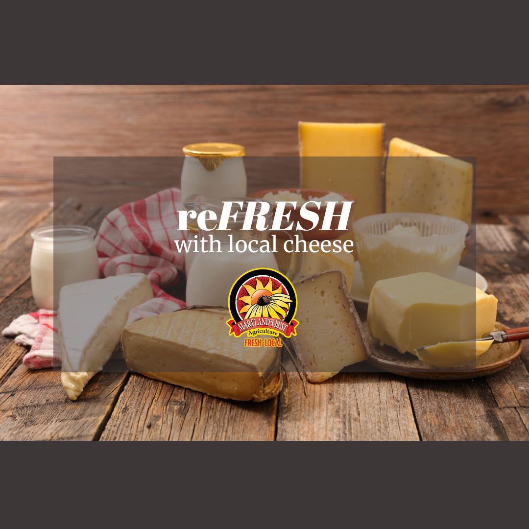 Maryland's Best tweet media