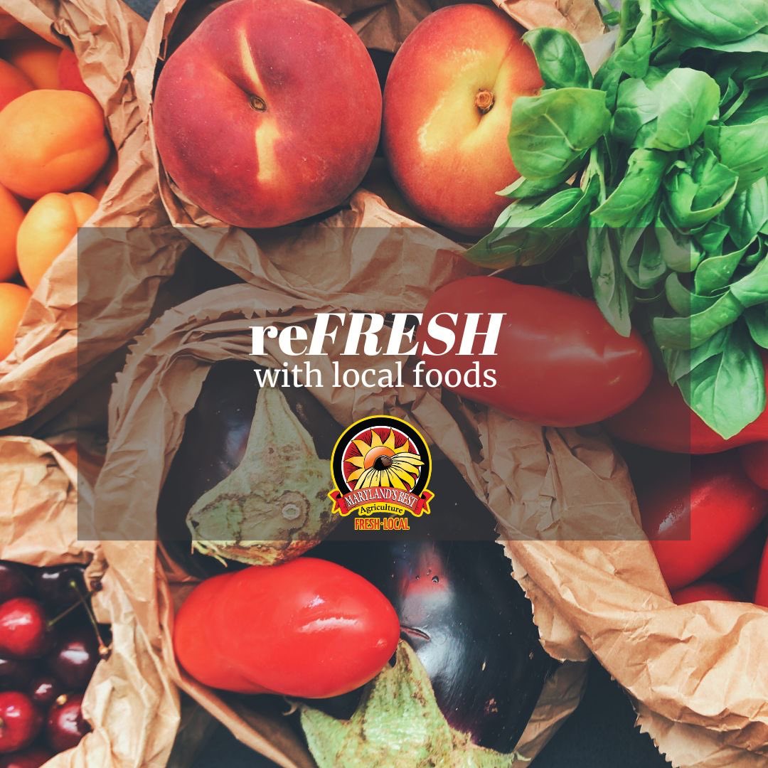 Maryland's Best tweet media