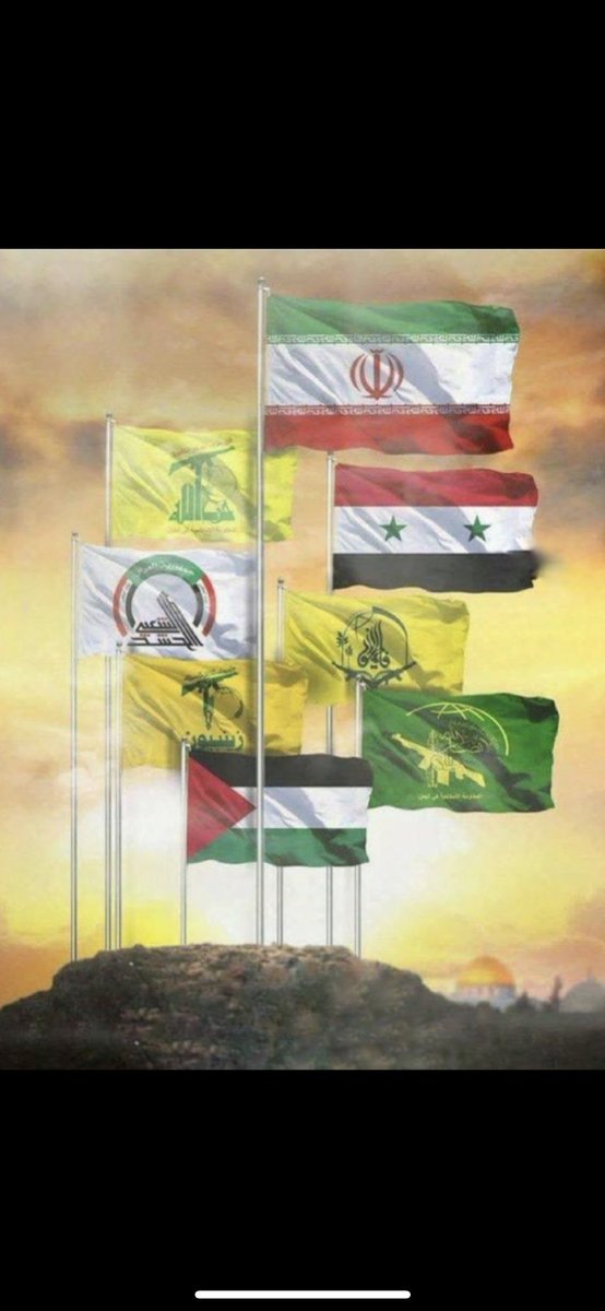 Sweet_Tea tweet media