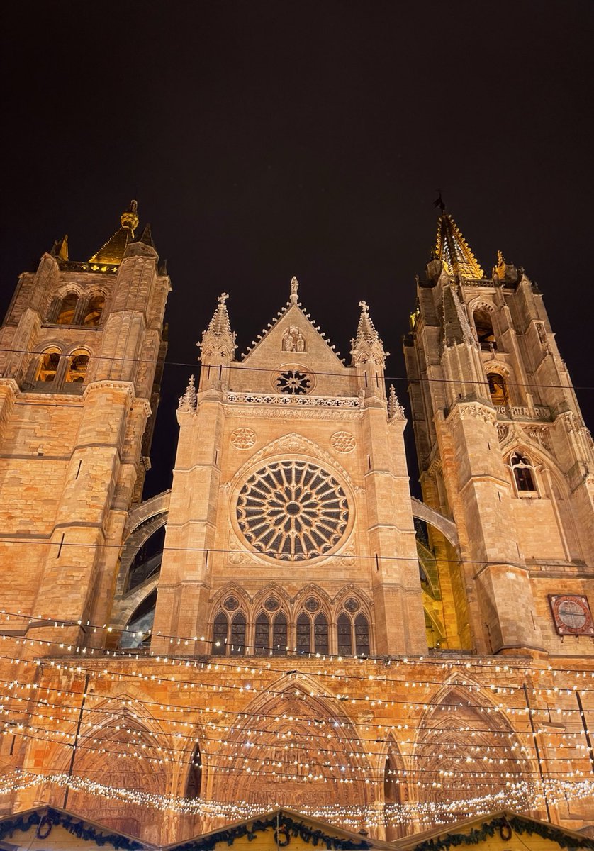 Eli Gutiérrez (@eligutierrezzz_) on Twitter photo 