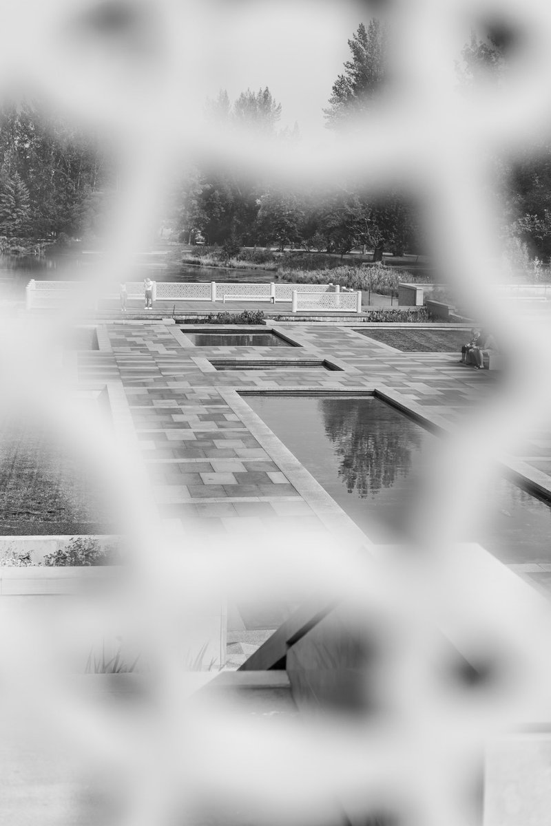 rukhsar jaffer tweet media