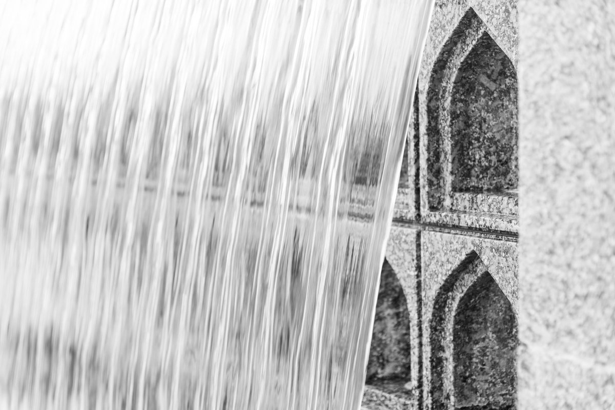 rukhsar jaffer tweet media