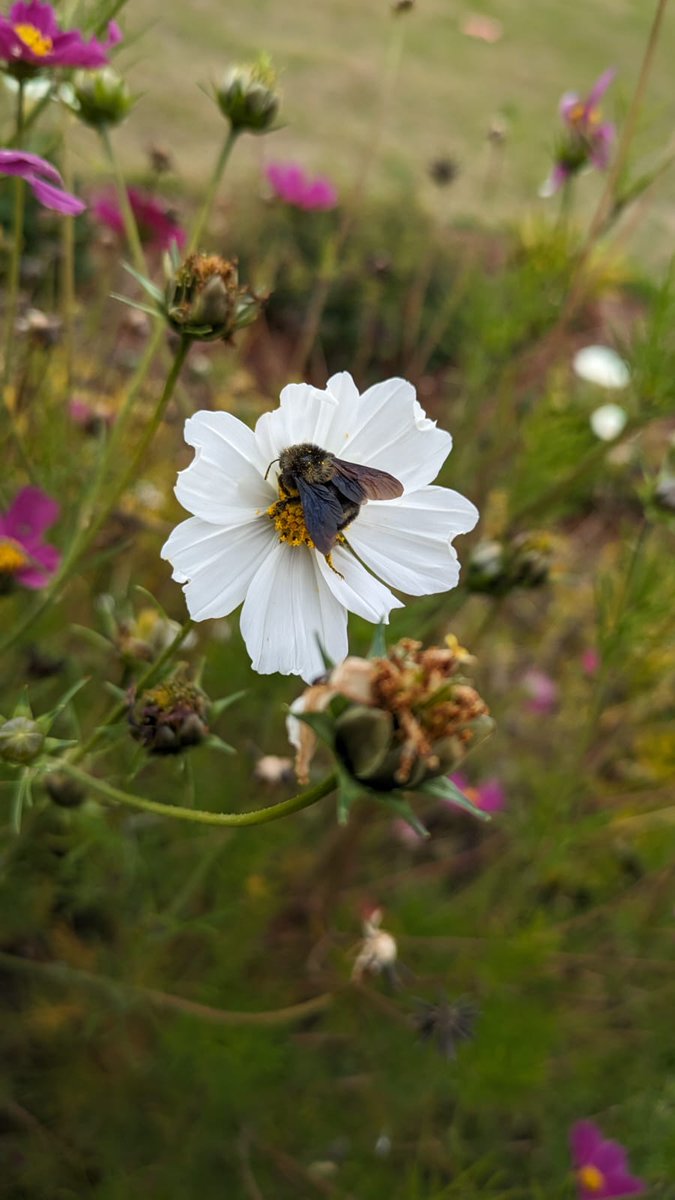 Sol Yepes tweet media