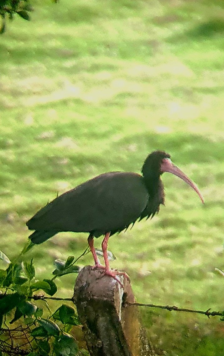 Sol Yepes tweet media