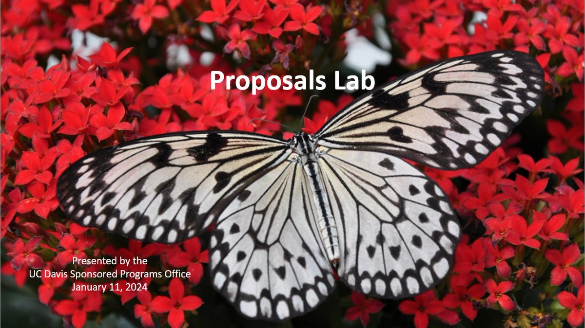UCDavisSPO's tweet photo. If you've taken UCD trainings on proposal preparation and would like some hands-on practice to keep your skills sharp, consider joining the upcoming Proposals Lab (via Zoom on 1/11 from 1-4pm). More info: https://t.co/gn39fNhjo7 https://t.co/F4AIayAWgI