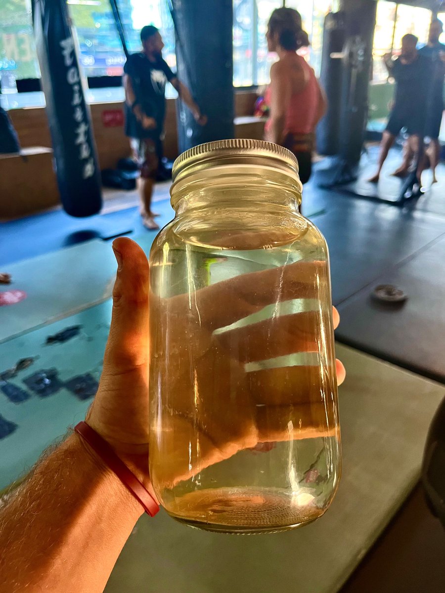 The only preworkout stack you need in 2024:

- 5g Creatine
- 3g L-Carnitine Tartrate
- 3g L-Citrulline DL-Malate
- 100mg ND Tongkat Ali 
- 2mL Based Pine Pollen
- 2 tablets Based Shilajit
- Raw honey + salt + spring water

Simple really