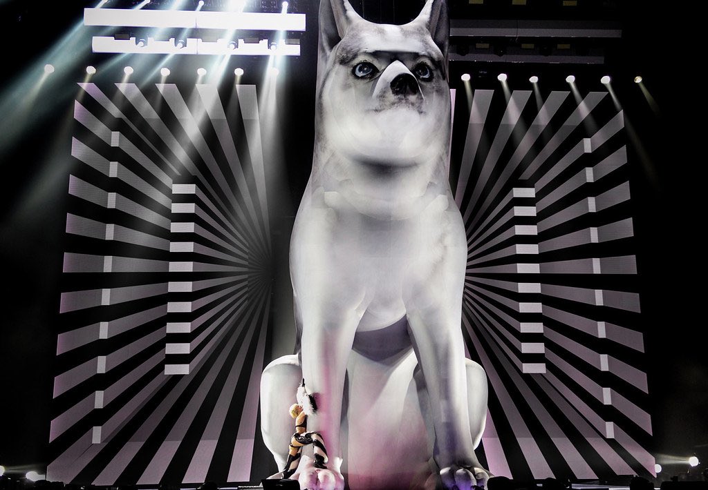 xplasticxhearts's tweet photo. this year would mark a decade since Miley Cyrus’ latest world tour https://t.co/x5H5MhVcUZ
