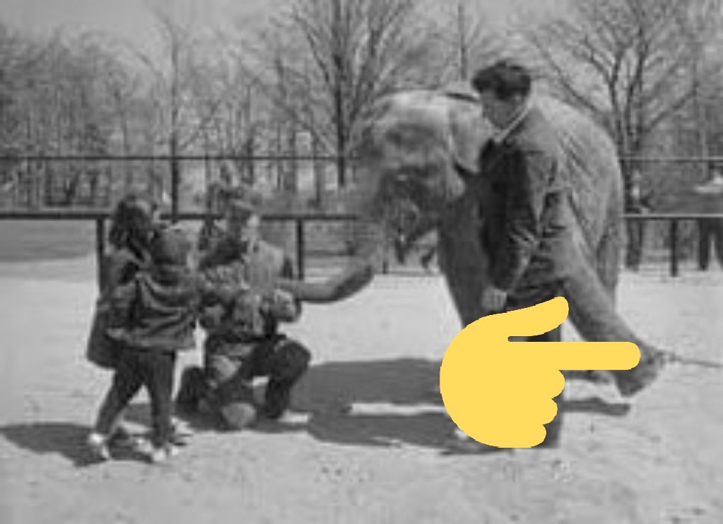 Friends of Ruth & Emily tweet media