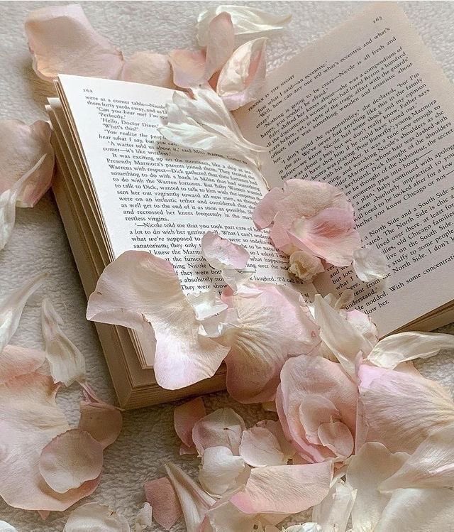 kadazriel's tweet photo. 𐚁̸ ࣪ ׅ  livros lidos em 2024 ⋆ ִ ࣪ .
                          ↳ a thread

❝ 𝑎𝑛𝑑 𝑡𝘩𝑟𝑜𝑢𝑔𝘩 𝑡𝘩𝑒 𝑝𝑎𝑔𝑒𝑠 𝑜𝑓 𝑡𝘩𝑎𝑡 𝑜𝑙𝑑 𝑐𝑟𝑖𝑚𝑠𝑜𝑛 𝑏𝑜𝑜𝑘, 𝑖 𝑓𝑖𝑛𝑎𝑙𝑙𝑦 𝑓𝑖𝑛𝑑 𝑚𝑦 𝘩𝑜𝑚𝑒. 𝐴𝑛𝑑 𝑖𝑡 𝑠𝑚𝑒𝑙𝑙𝑒𝑑 𝑙𝑖𝑘𝑒 𝑚𝑖𝑑𝑛𝑖𝑔𝘩𝑡 𝑟𝑎𝑖𝑛. ❞ https://t.co/GEtO6JtKjC