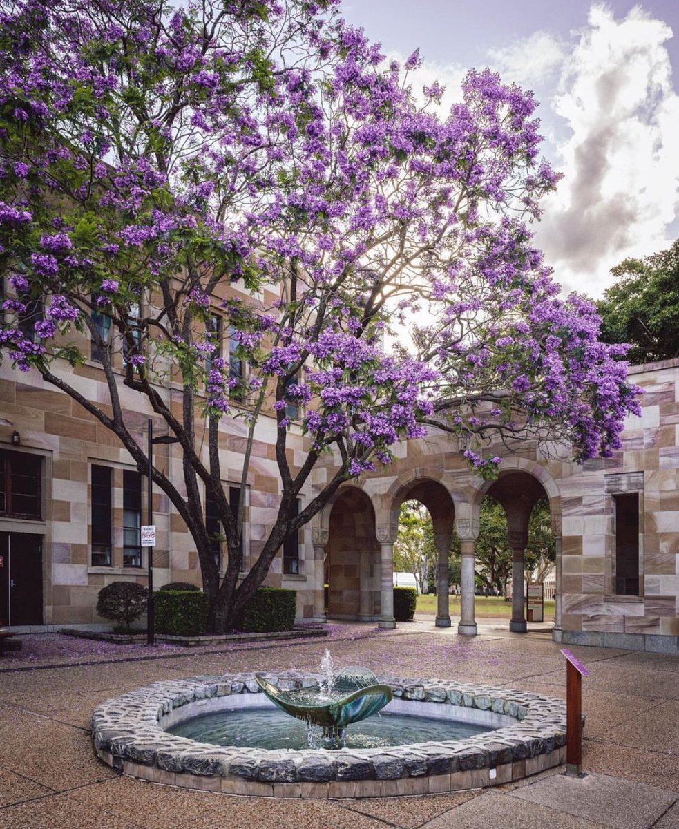 Looking forward to the Management and Organizational Behavior Teaching Society (MOBTS) Oceania conference soon at my beautiful home university. Love the opportunity to deliver a workshop with the wonderful @DrElizabethN too! 🙏🏻☺️ 📸: UQ Instagram @OBTS1 @UQ_Business