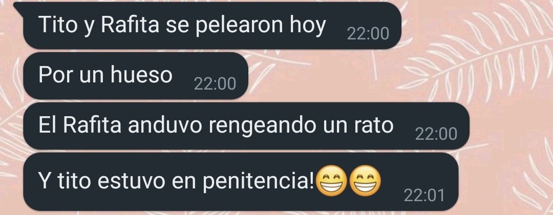Rossi_Bren's tweet photo. Los días de tito en Pigüé😂🫶 https://t.co/iYZan1kAaR
