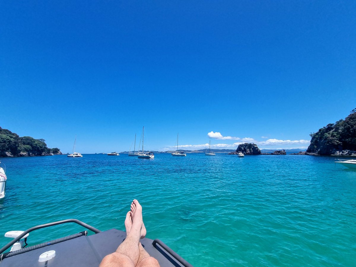 Welcome back Aotearoa #chill