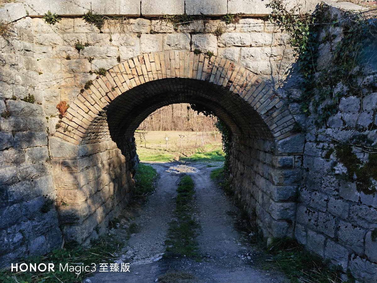 fabrizio_degni's tweet photo. A bunch of pictures captured with Honor Magic 3 Pro+
#HONORMagic3proplus #honor #pictures #nature https://t.co/qlFv8fLID7