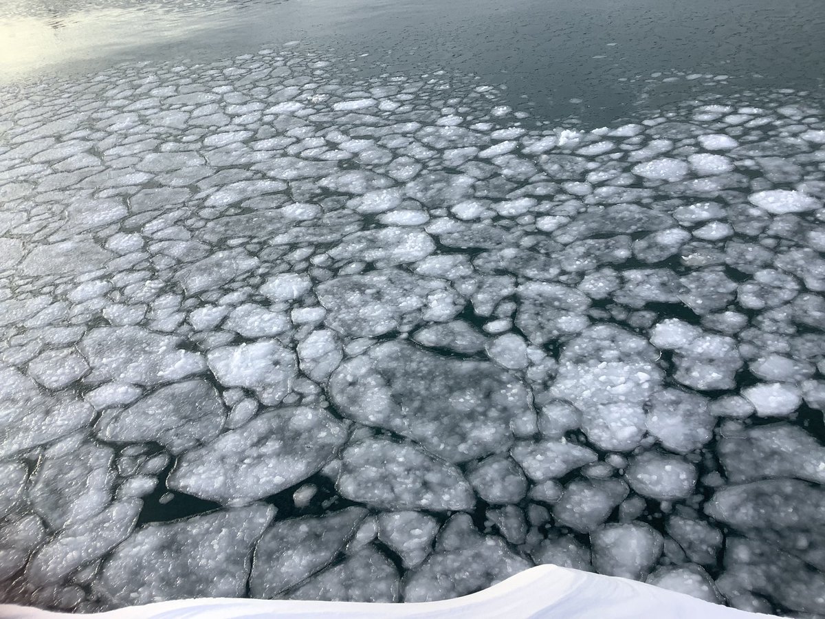 ayajijo's tweet image. 2024年もよろしくおねがいします！
北海道で釣りをしたり平和を願ったりしているところです。

『第一回インターナショナル・パペットスラム』
予想以上に応募があって大変驚き＆嬉しいです。
〆切は1月5日です。
間際ですがご質問等あれば気軽にお問い合わせください！
#2024年 #SIPF #パペットスラム