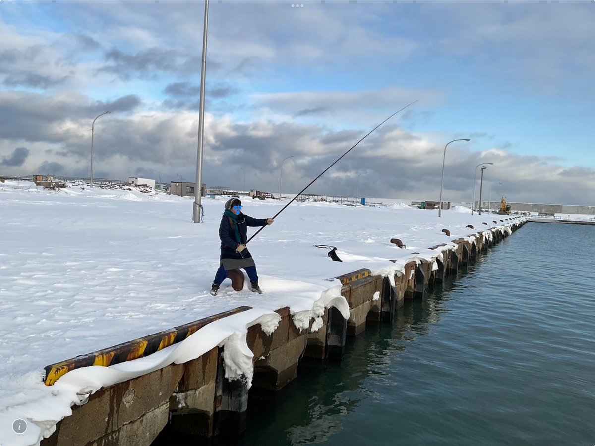 ayajijo's tweet image. 2024年もよろしくおねがいします！
北海道で釣りをしたり平和を願ったりしているところです。

『第一回インターナショナル・パペットスラム』
予想以上に応募があって大変驚き＆嬉しいです。
〆切は1月5日です。
間際ですがご質問等あれば気軽にお問い合わせください！
#2024年 #SIPF #パペットスラム