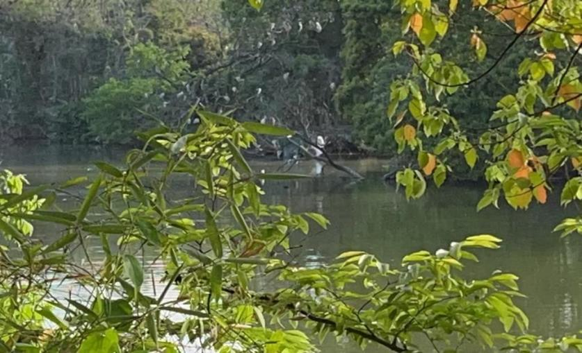 BioGreen2018's tweet photo. This article focuses on analyzing the inevitability of #ecologicalcivilization and #greendevelopment, and warning against ecologically damaging practices in the name of #ecologicalengineering. #biodiversity
Read here ➡️ https://t.co/Va4p2lGHc9 https://t.co/EJy3b6PAWb