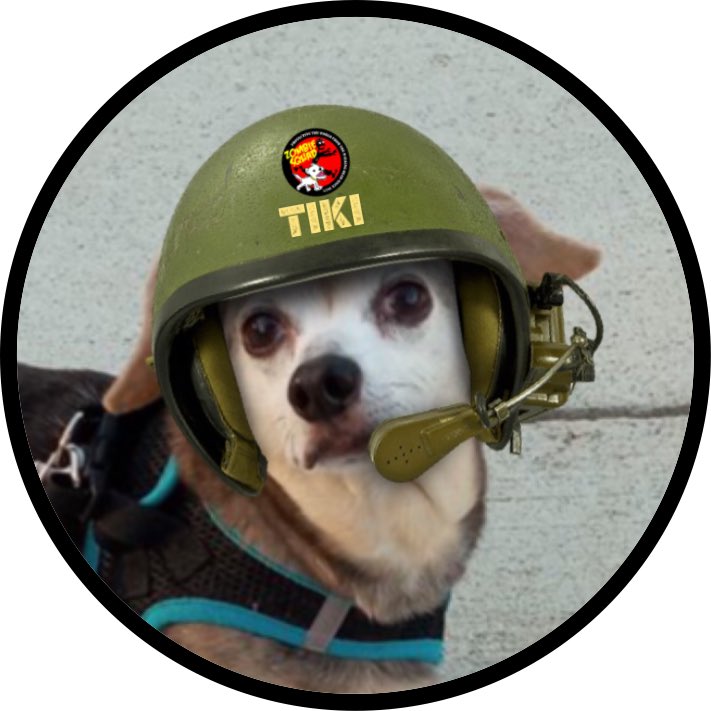 #RainbowBridge #Tiki #ZSHQ #dogs #Dachshunds Tiki crossed over the Rainbow Bridge at 6 PM today. He was sweet &amp; brave until the end. He is at peace &amp; our hearts &amp; the hearts of everyone who met Tiki are broken. Thanks to everyone for their love &amp; support.💔💔💔🌈🌈🌈