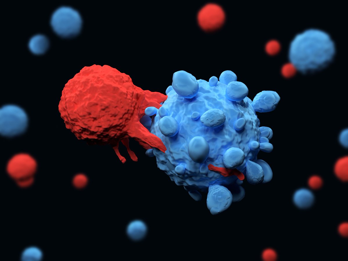 Cancer Discovery tweet media
