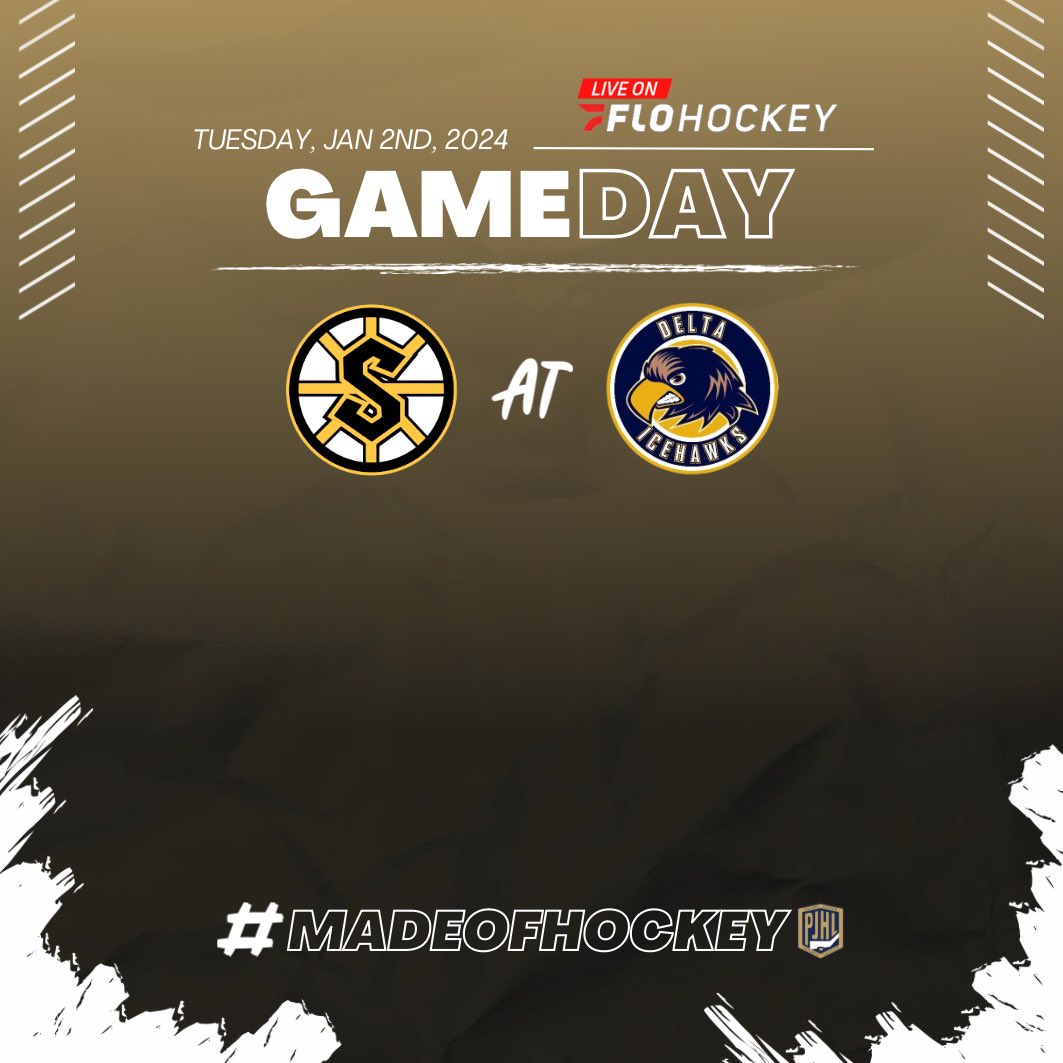 ThePJHL's tweet image. We’re back at again! 2024’s first game of the year will be tonight with @deltaicehawks hosting @steeltownhockey 🙌

#backatit #hockeytime #thefutureisnow #madeofhockey #thepjhl #juniorahockey #flohockeytv