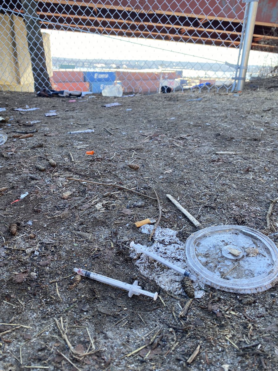 MaffeiInTheMorn's tweet photo. These exposed syringes have a pretty good view
@PolicePortland gave #CBS13 new overdose data
💉2023: 527 (subj to yr end review)
💉2022: 518
Chief DuBois says officers administer Narcan almost daily
City leaders hope clearing homeless camps help bring the numbers down
@WGME https://t.co/6WNoPkZwUY
