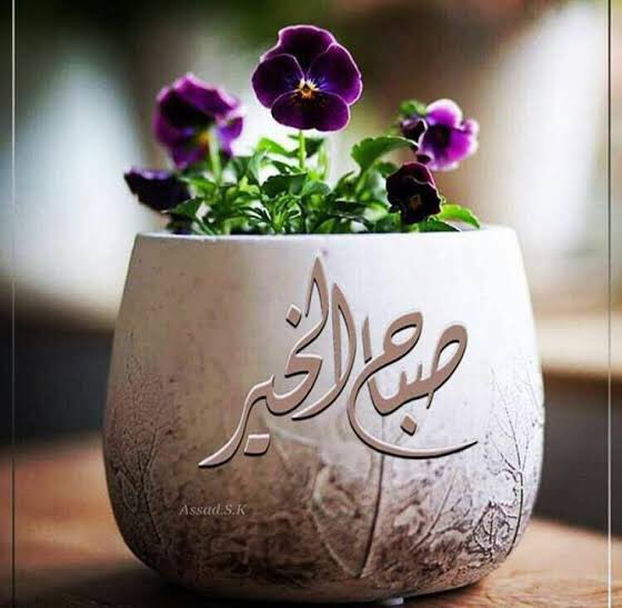 صبح بخیر زندگی السلامُ عَلَيْكُمْ وَرَحْمَةُ اللهِ وَبَرَكَاتُهُ
"
دعانصیب والوں والوں کو ملتی ھے۔ اس لئے جب کوئ 

لئے جب کوئی آب کودعا دے تو اسکے لفظوں پر صدق 

دل سے آمین کہیں

اللہ آپکو  راحت والیِ زِندگی عطاء کرے آمین